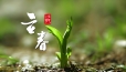 立春   万物随春醒，美好皆可期！