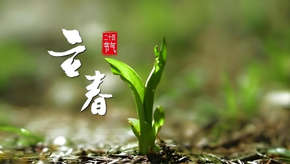 立春   万物随春醒，美好皆可期！