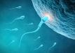 扎心了！当代男人精子合格率不足18%，数量不如