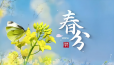 春分至，昼夜平分，万物复苏 ！