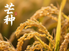 芒种至，盛夏始，有收有种，自在从容！