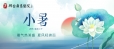 小暑至，盛夏时！