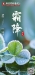 【今日霜降】落叶之秋 ，寒霜初降