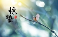 今日惊蛰 | 心向暖阳，万物生长