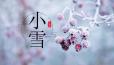 【今日小雪】天渐寒，注意防寒保暖！