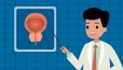秋季男人做好这些事，能缓解前列腺病症