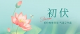 【今日入伏】酷暑来袭，注意防暑降温！