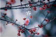 节气：立春