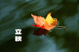 夏意悠未尽，忽觉秋已来！