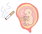 吸烟会影响到生育能力吗?如何提高生育能力?