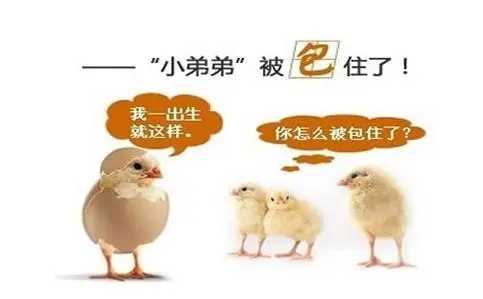 微信图片_20211216160816