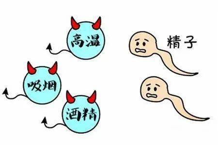 src=http___p9