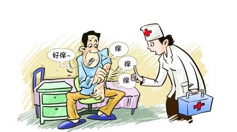 阴囊