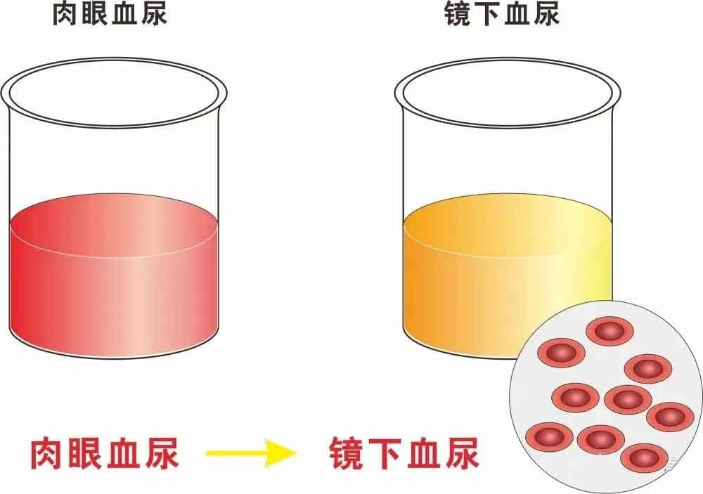 微信图片_20220824084128