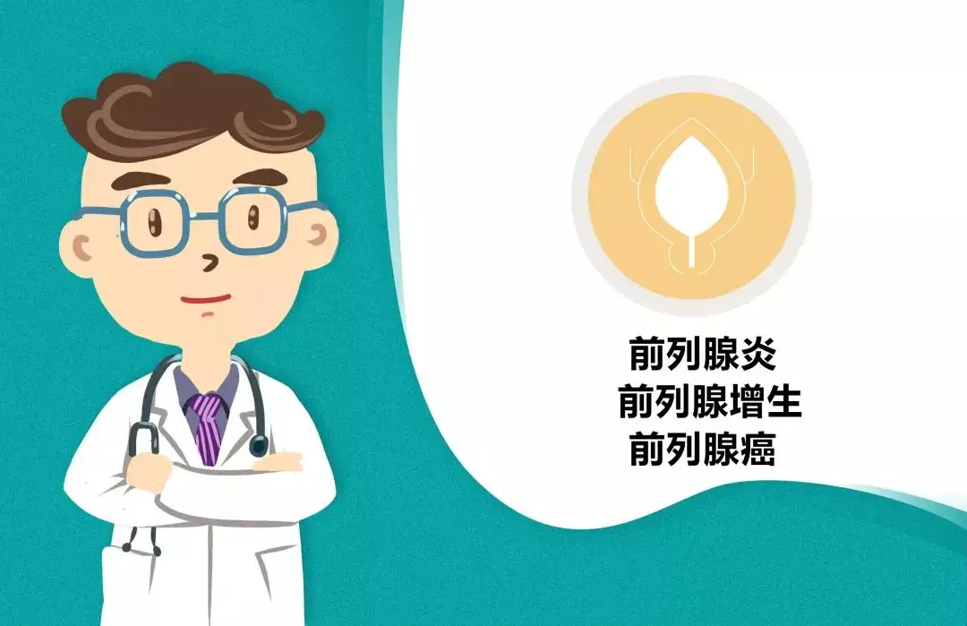 前列腺6