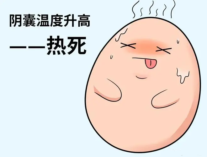 阴囊局部温度过高
