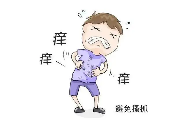 阴囊皮炎