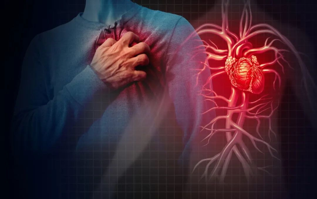 心血管疾病与男性勃起功能障碍