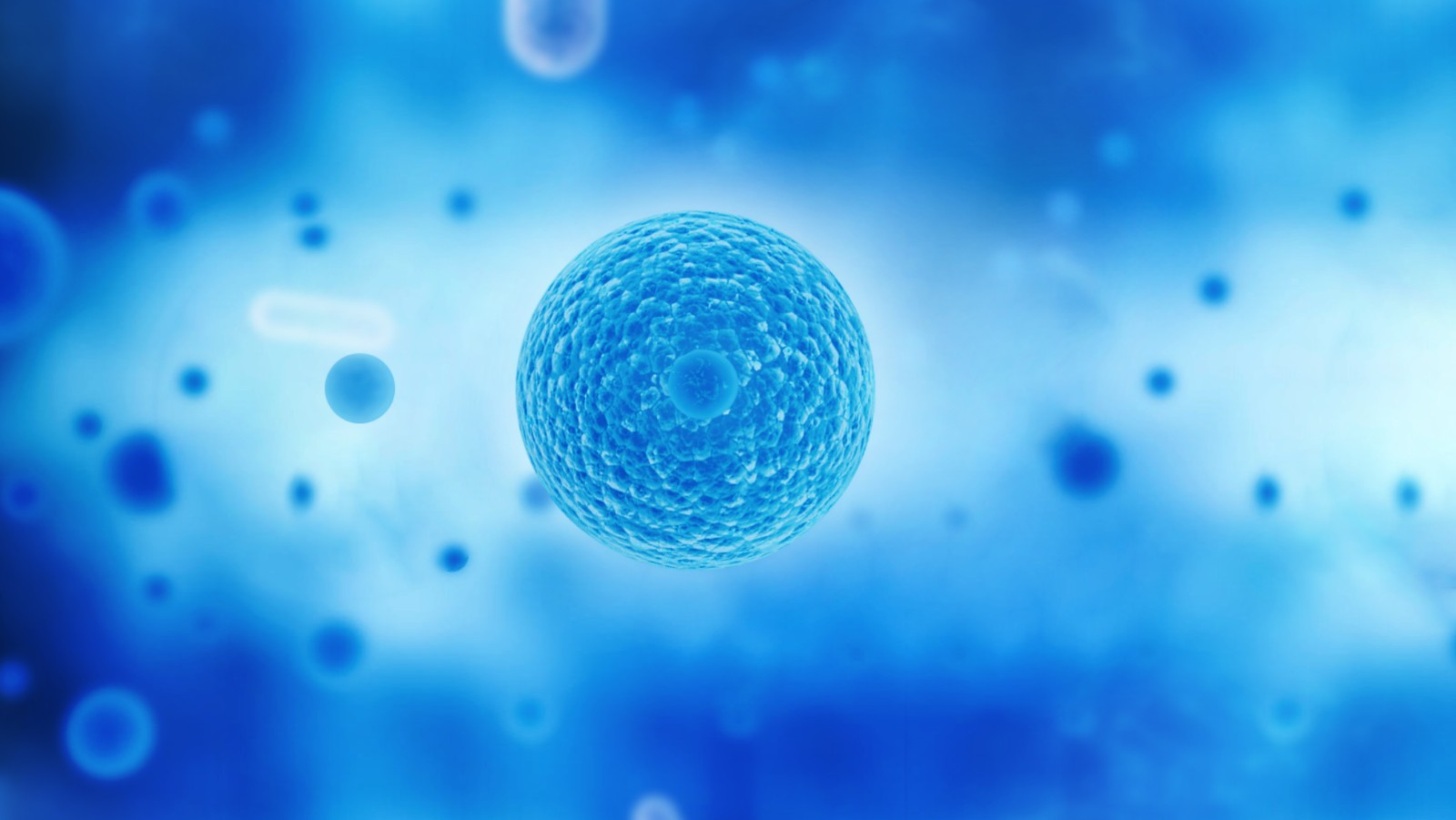 干细胞技术与男性勃起功能障碍
