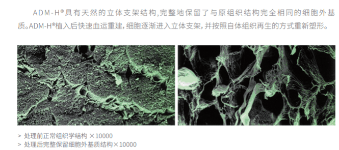 微信图片_20231102164401