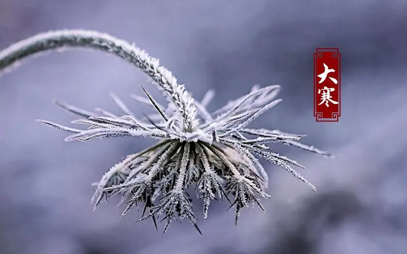 大寒5