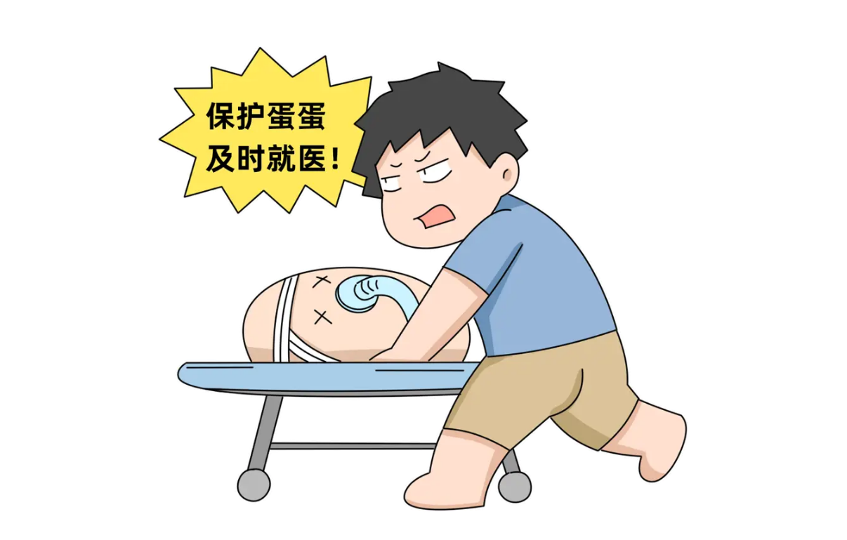 保护睾丸