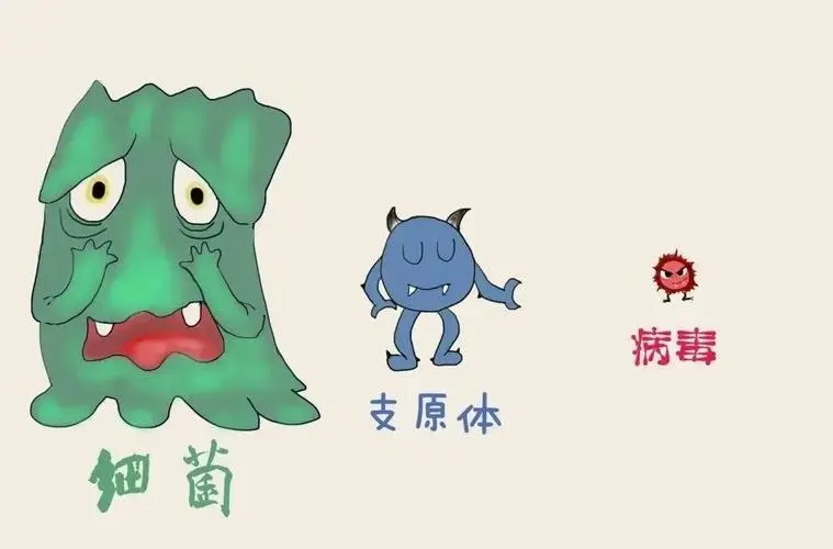 交叉感染