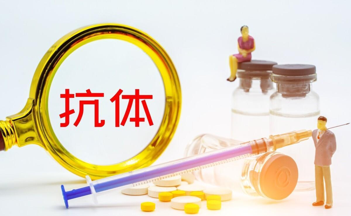 抗体
