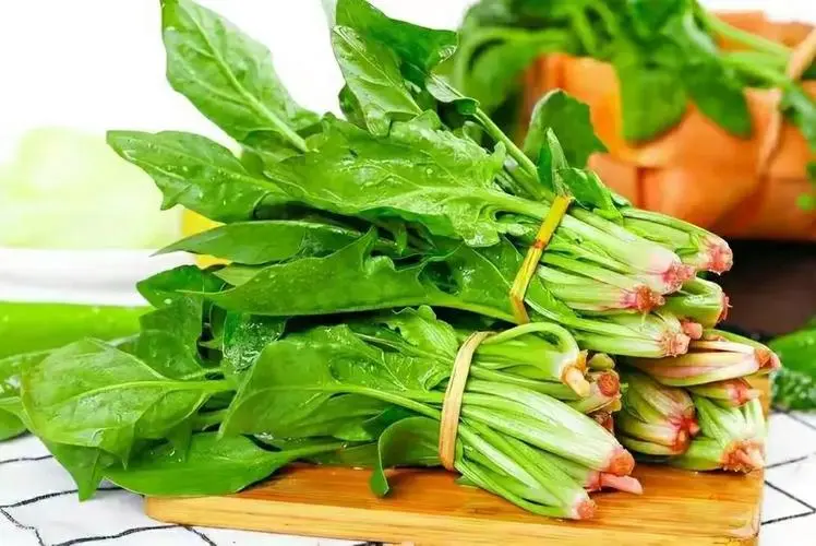 菠菜