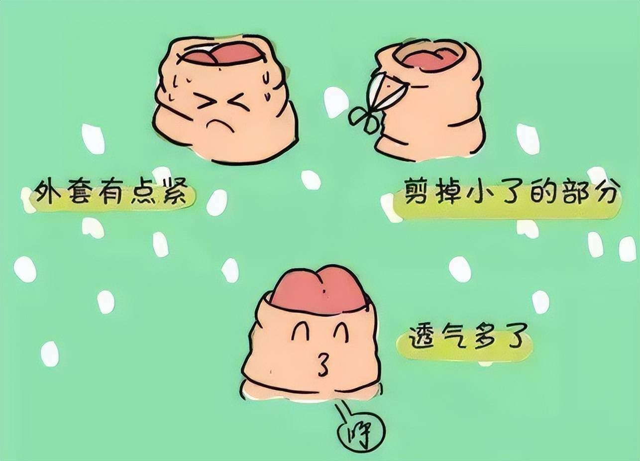 割包皮1