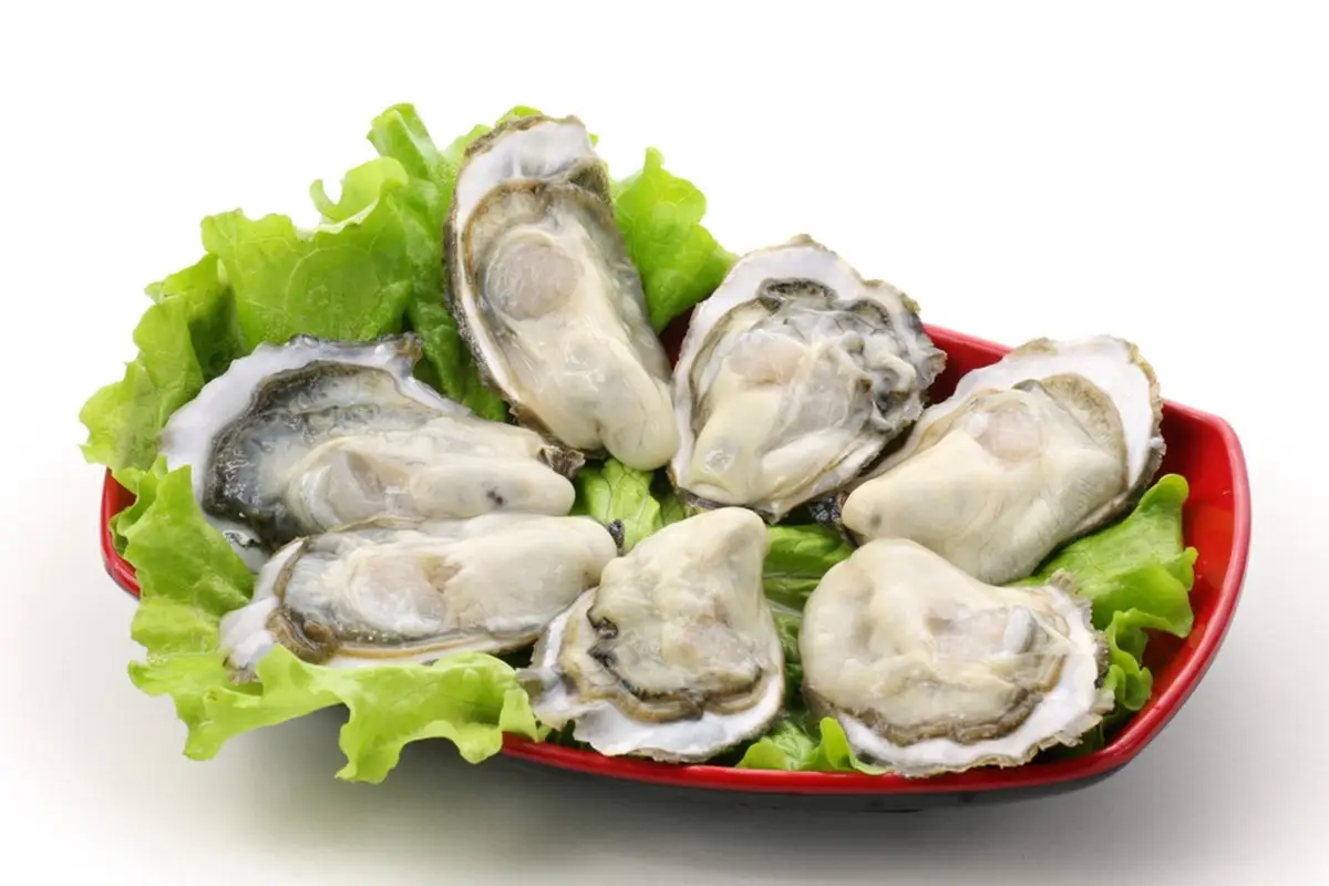 含锌的食物