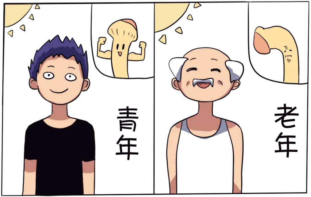 阴茎勃起不坚