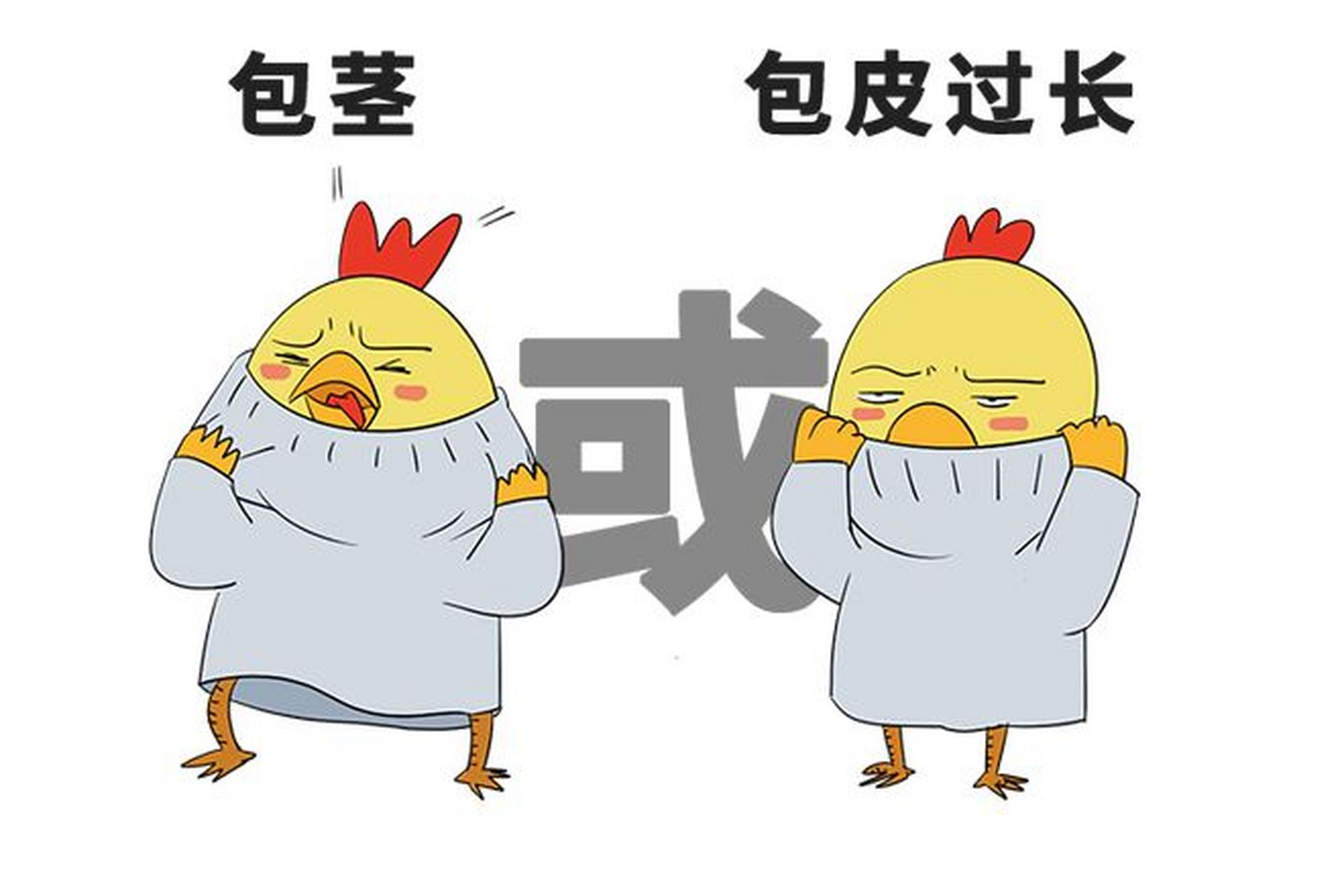 肥大型包茎
