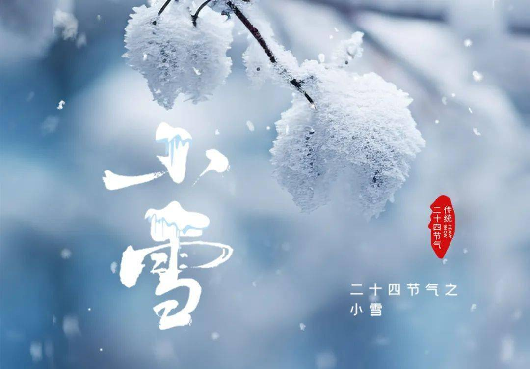 小雪11