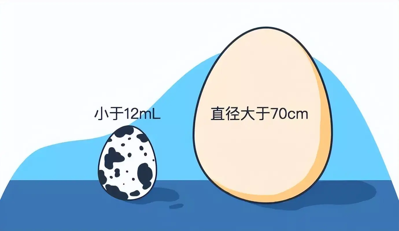 睾丸大小不一