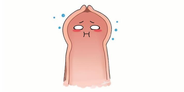 阴茎1