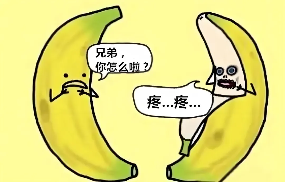 微信图片_20250410153643
