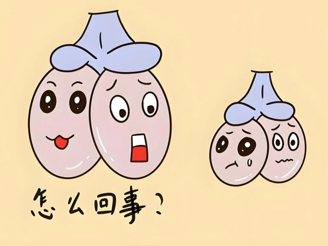 微信图片_20250424142326