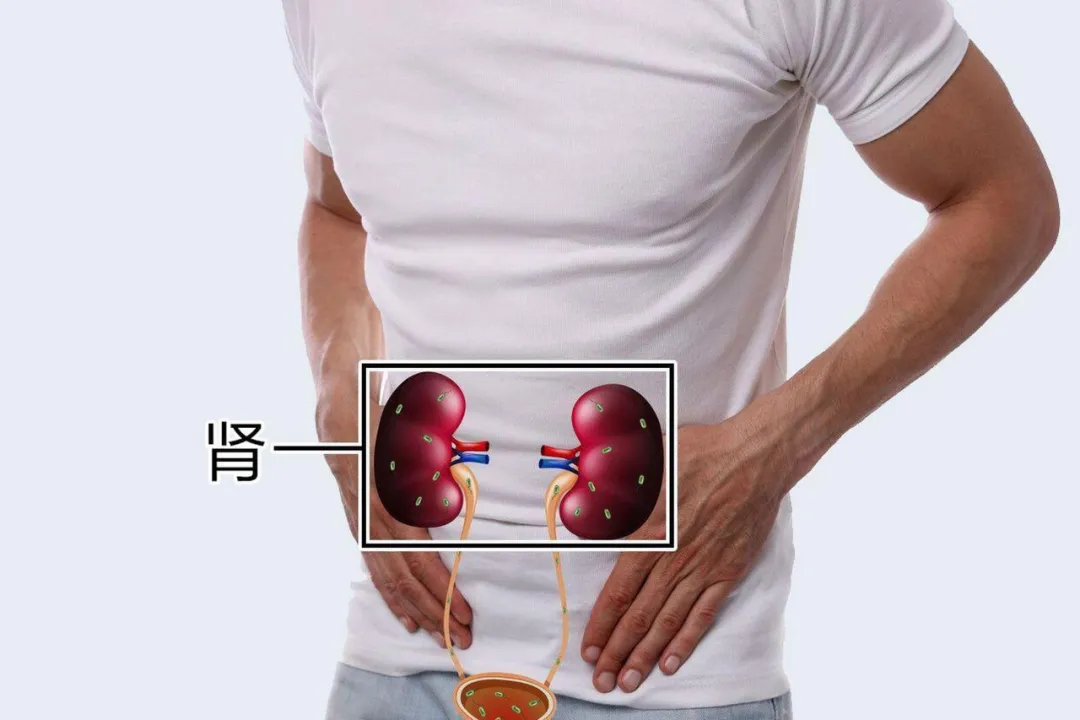 微信图片_20250326150243