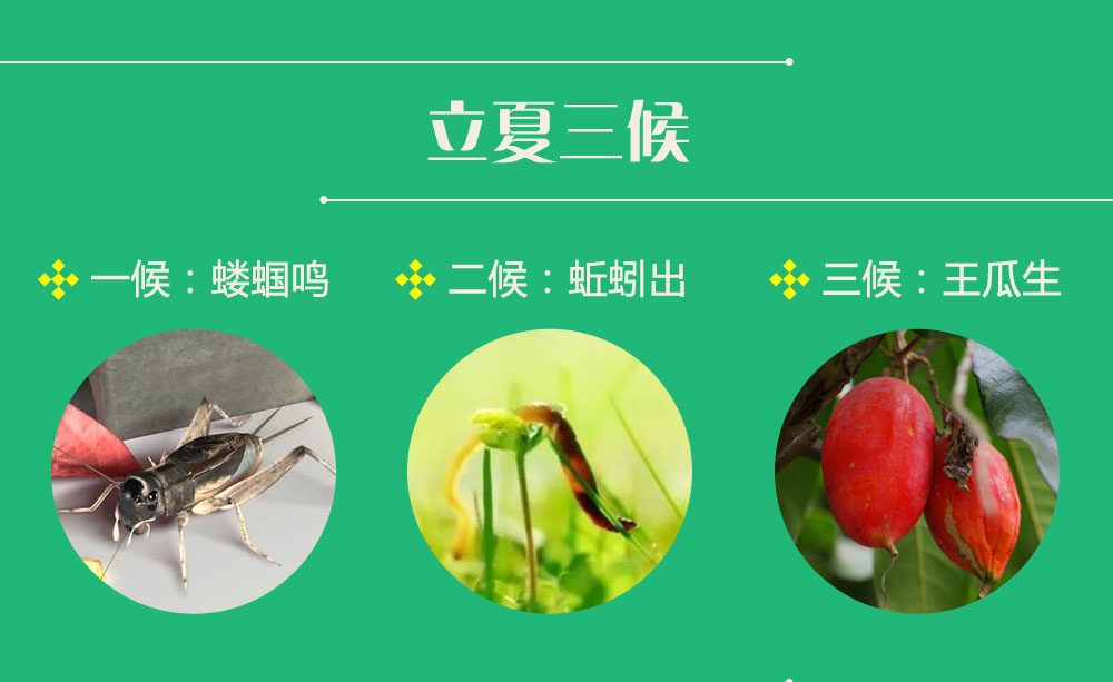 立夏三候