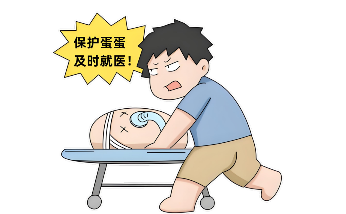 睾丸疾病