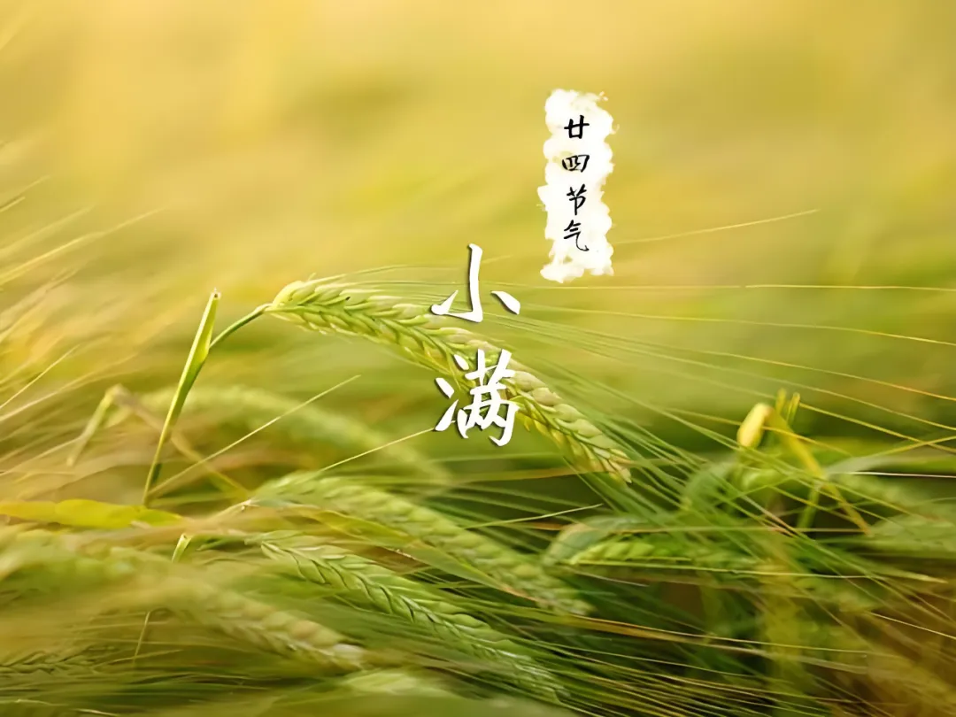 微信图片_20250521102123
