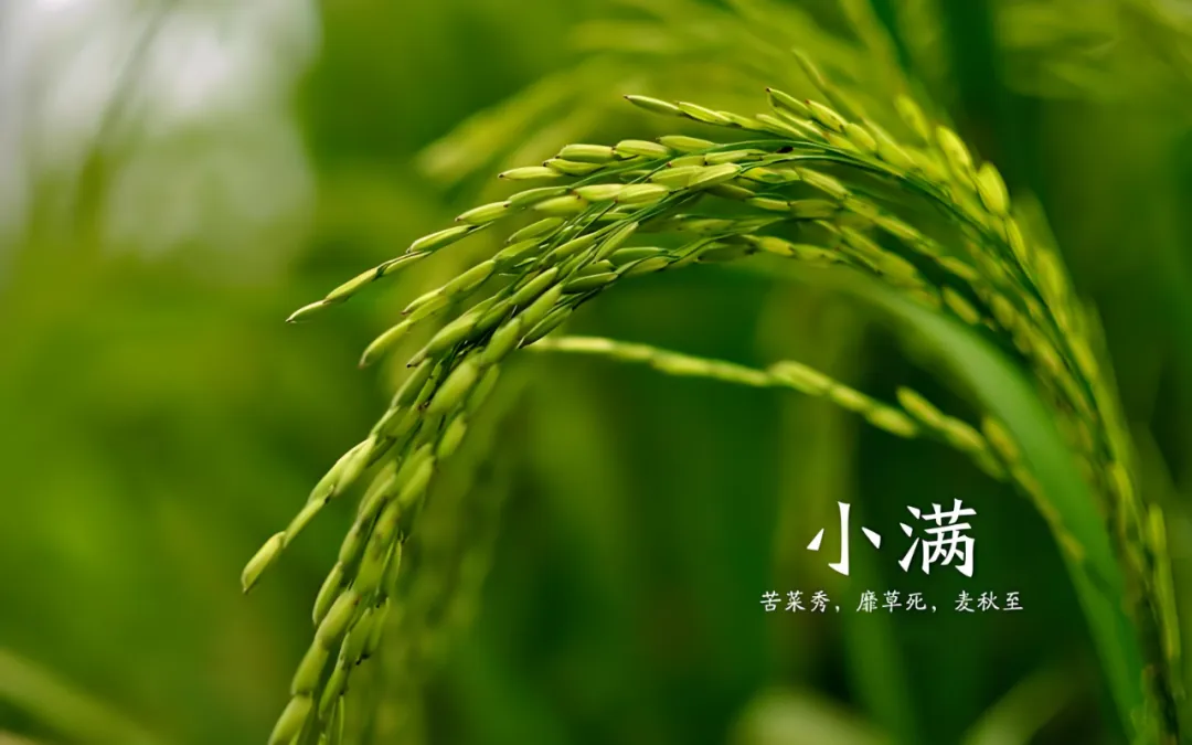 微信图片_20250521102116