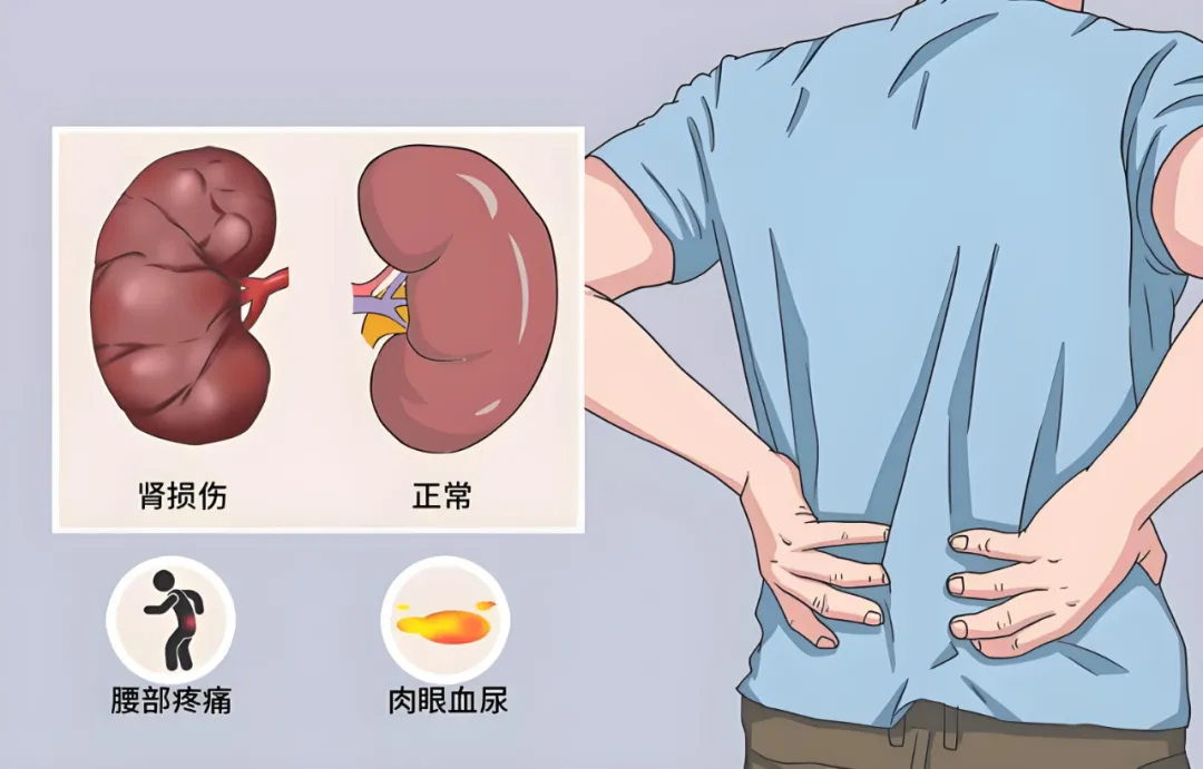 微信图片_20250527151129