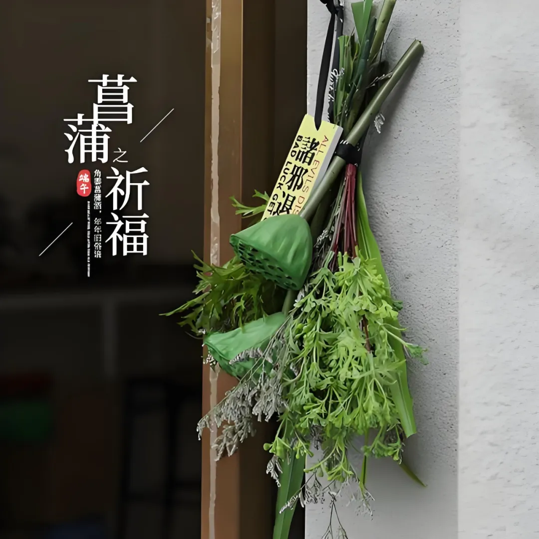 微信图片_20250531121556