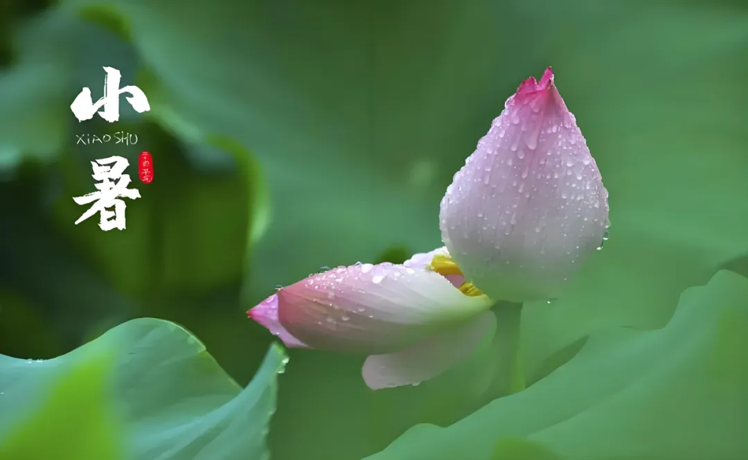 微信图片_20250707164256