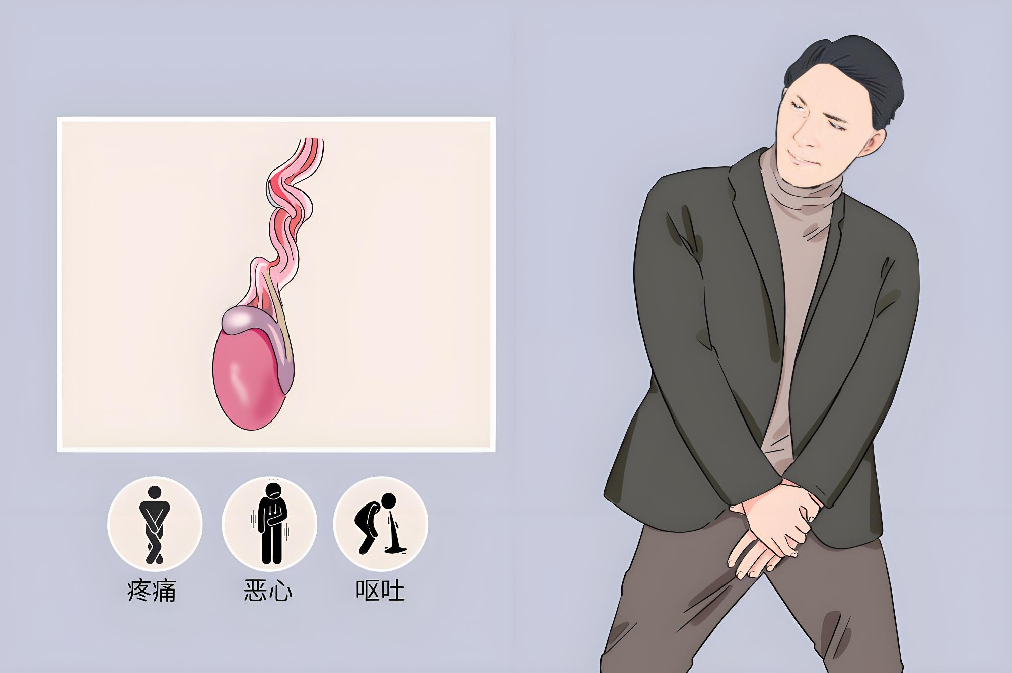 睾丸疼12
