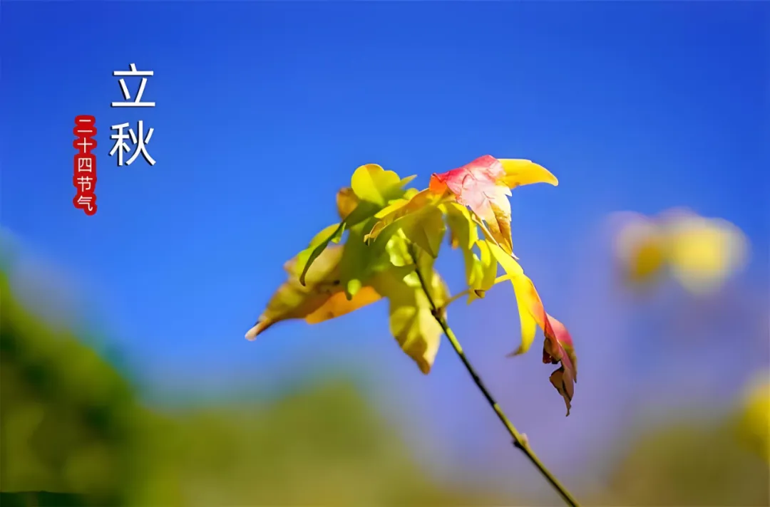 微信图片_20250807105557