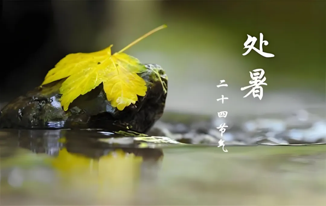 微信图片_2025-08-23_162314_946