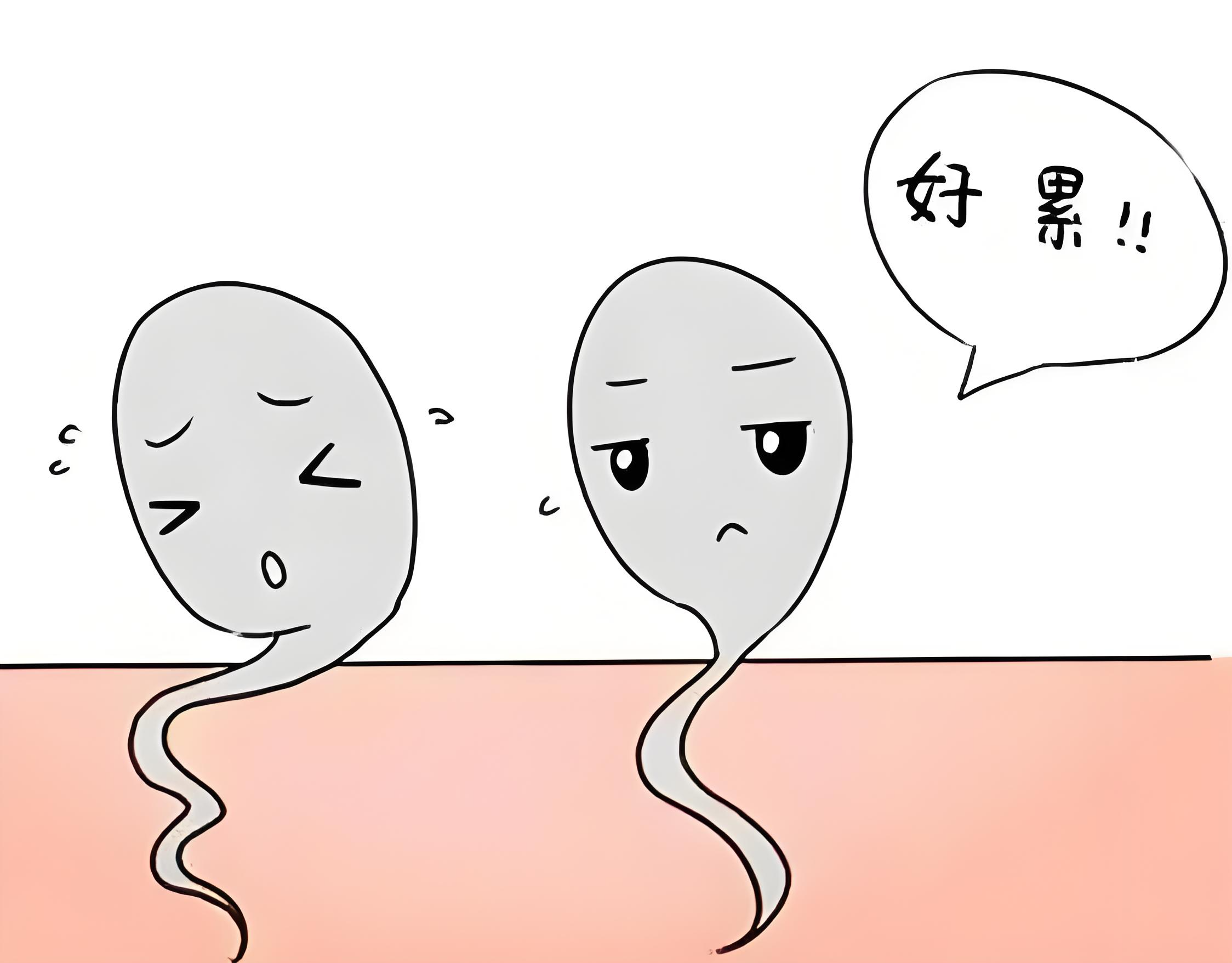 精子8